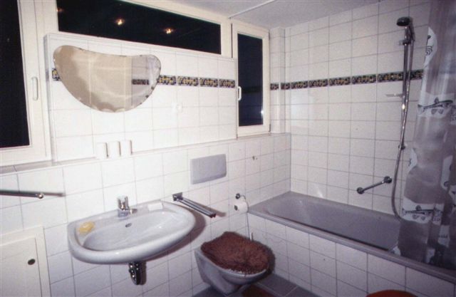 Ferienhaus Zeeland  Breskens Badezimmer 1